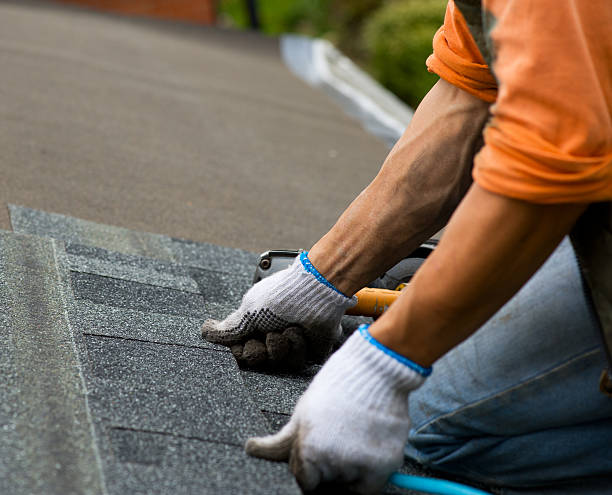 Best Roof Gutter Cleaning  in Rouses Point, NY
